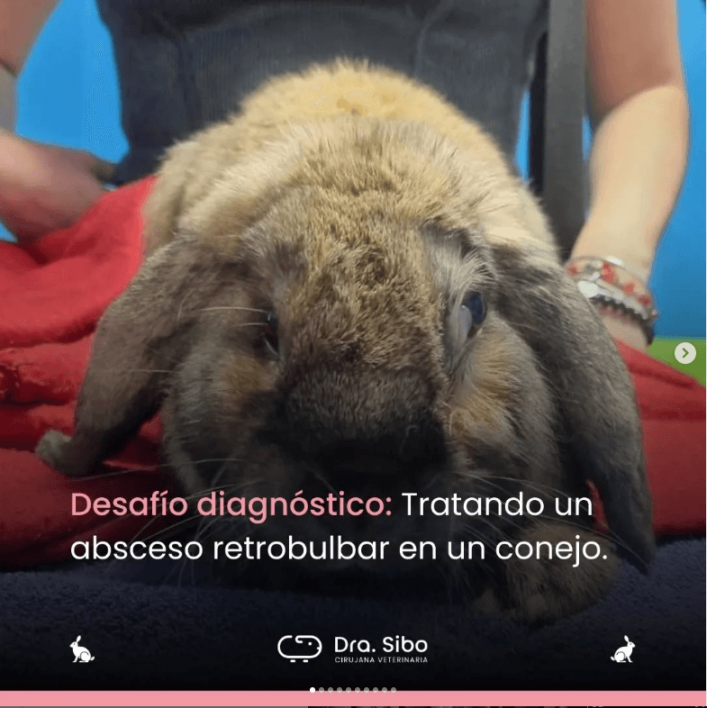 Chequeo Integral en Tortuga