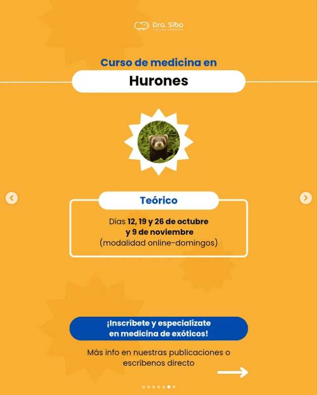 Diagnóstico Radiológico en Iguana