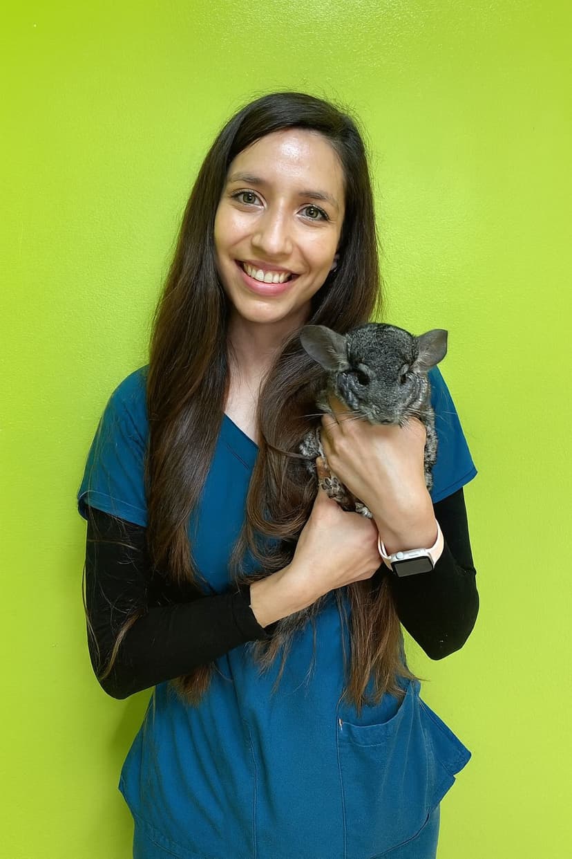 Dra. Natalia Villalobos - Medicina Interna de Animales Exóticos